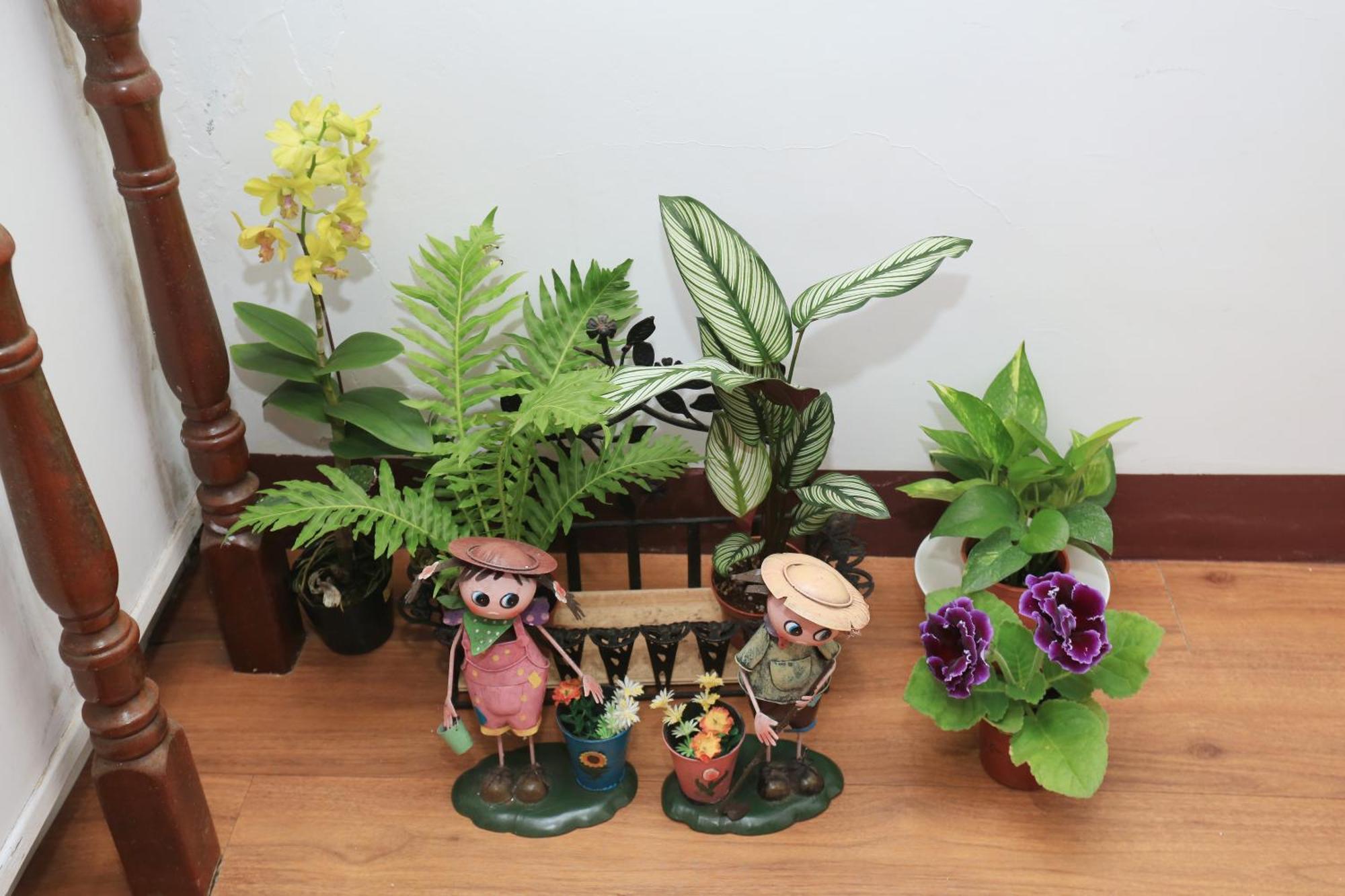 ווג'ייה Yilan Homeland B&B מראה חיצוני תמונה